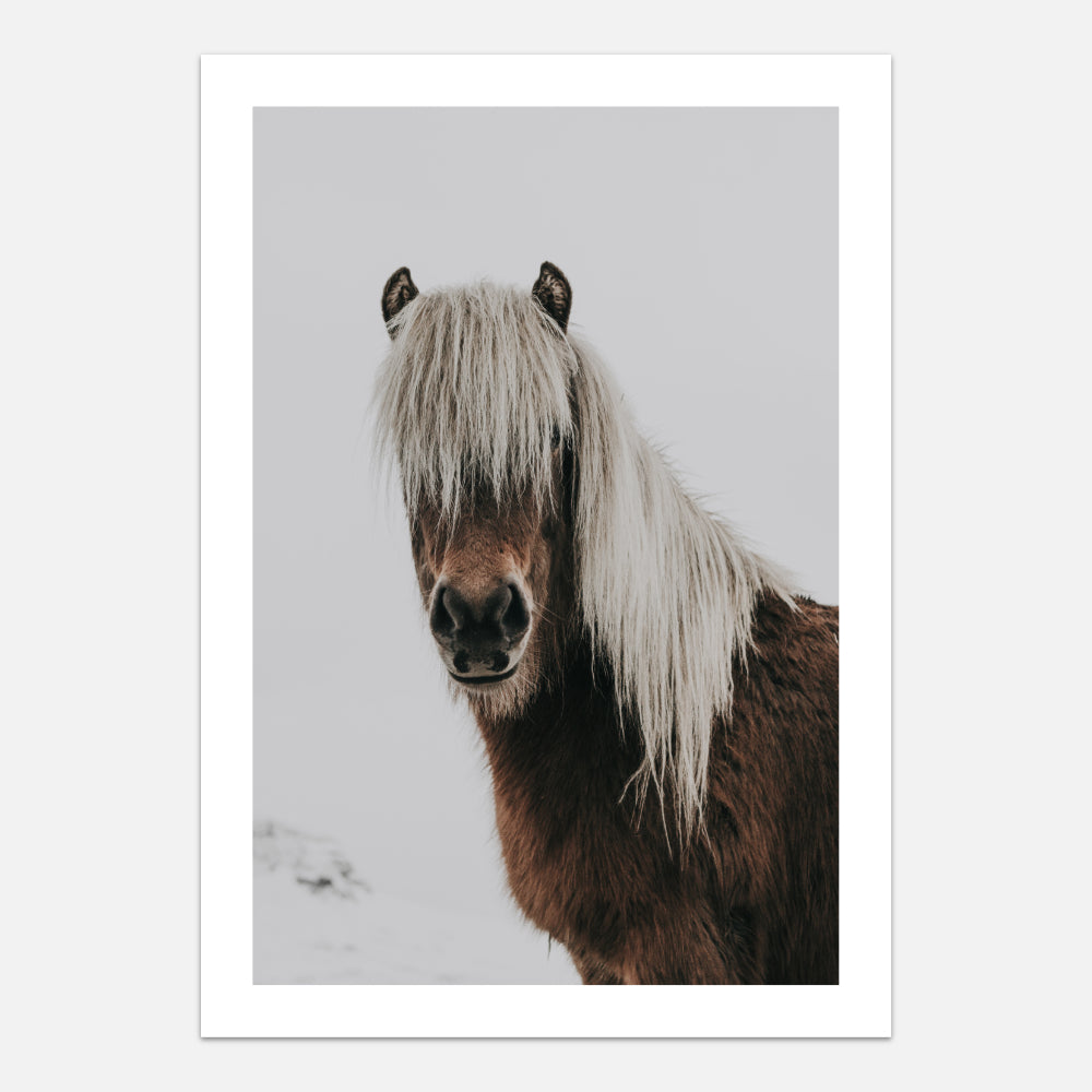 Horse poster