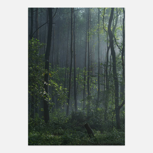 Lush forest poster