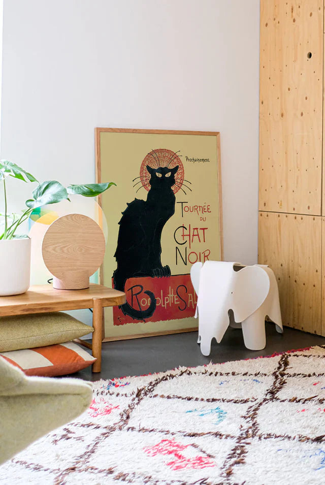 Chat Noir - Black Cat plakat